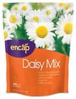 10808-6 118705 Encap Coverage Daisy Flower Mix 681636108089