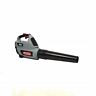 572621  Oregon Cordless Mph Leaf Blower With Battery And 036577565208