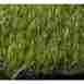 Tm512-cl 5ftx12ft Retail Turf Solutions Premium Envylawn Landscaping Synthetic Mat Green Garden Display 899708002641