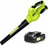 Bbt-yor01 Bbt-yor01-new Snapfresh Leaf Blower Cordless With Battery Charger Electric 6971494040534