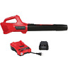 Blp301 Powerworks Xb Axial Leaf Blower Mph Cfm Battery 841821058807