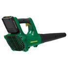 We20vb Weed Eater Rechargeable Battery Powered 841821017941