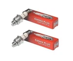Genuine Oem Champion Part # RJ17LM; Spark Plug 2 Pack. Fixed Price $12.99.