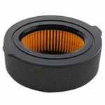 Air Filter For Mtd 951-10794 Cub Cadet FT24R RT35 RT45 RT65 VT100 Tillers. Fixed Price $9.09.
