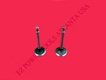 Craftsman Mtd Troy-bilt Cub Cadet 179CC 208CC 212CC Engine Valve Set 951-10647A. Fixed Price $12.99.