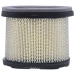 Cub Cadet BS-697029 Air Filter Cartridge S621 SC621E SR621 SRA621 SRC621. Fixed Price $26.95.