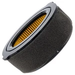 Cub Cadet 951-10794 Air Cleaner Filter Kit FT24R RT35 RT45 RT65 VT100 Tillers. Fixed Price $13.66.