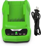 24V CAF806 Charger For Greenworks G24 Li-ion Battery BAG708 BAG709 BAG710 BAG711. Fixed Price $22.99.