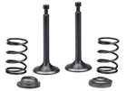 Intake Exhaust Valve Spring Set For Troy Bilt Mtd Part# 951-10647A. Fixed Price $24.99.